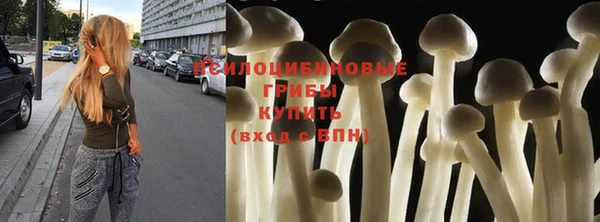 ALPHA PVP Иннополис