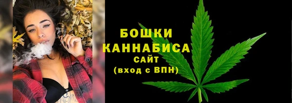 ALPHA PVP Иннополис