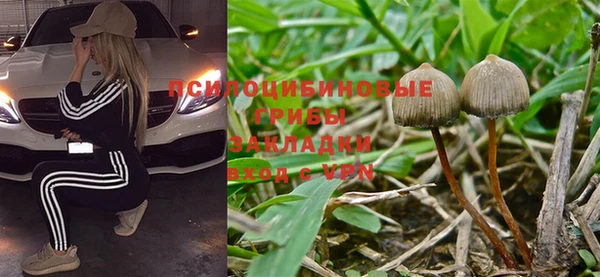 ALPHA PVP Иннополис