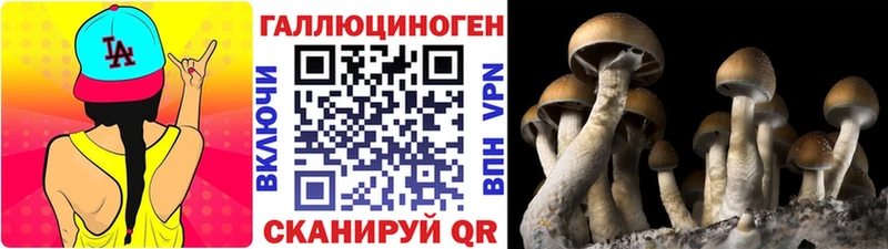 Галлюциногенные грибы Psilocybe  Купить  Бежецк 